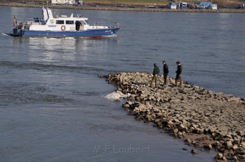 Einsatz BF Koeln Person im Rhein Rheinkassel P08.jpg